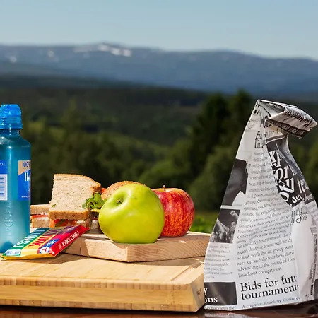 Nordpa Hub 3* Haltdalen